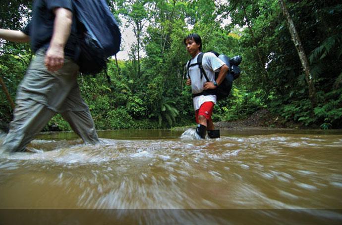 Travel Health - Jungle Microbes