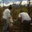 Voluntourism - Help a Corner of the World