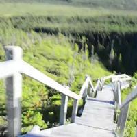 Running the Alexander Murray Hiking Trail